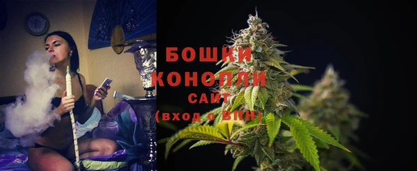 ГАЛЛЮЦИНОГЕННЫЕ ГРИБЫ Болохово