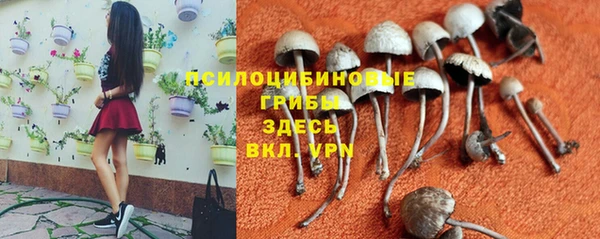 apvp Новодвинск