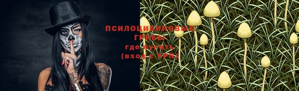 apvp Новодвинск