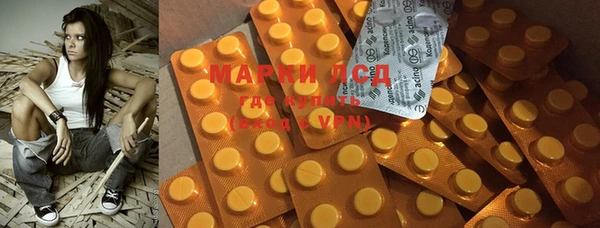 ГАЛЛЮЦИНОГЕННЫЕ ГРИБЫ Болохово