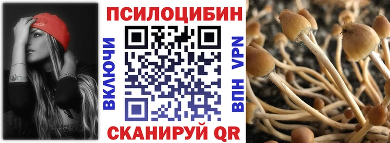 Псилоцибиновые грибы Psilocybine cubensis  Поворино 